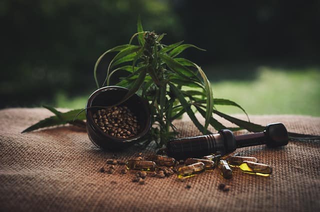 Health Benefits of CBD Oil