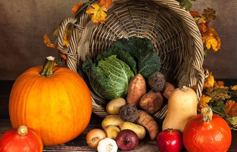 The Health Benefits of Eating Pumpkins
