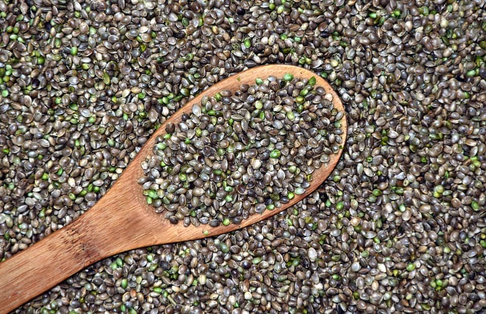 Benefits of Hemp Protein